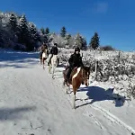Chamkoria Luxury View Borovets