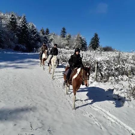 Chamkoria Luxury View Borovets