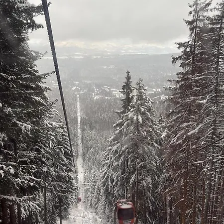 Appartamento Chamkoria Luxury View Borovets